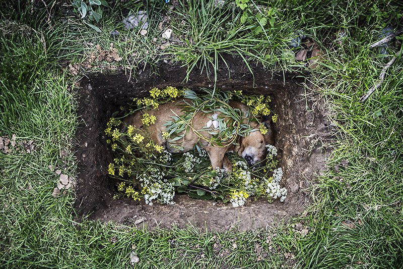 stratfford is dead. long live stratford