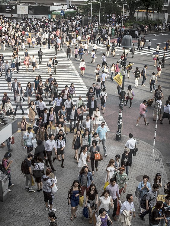 shibuya crossing