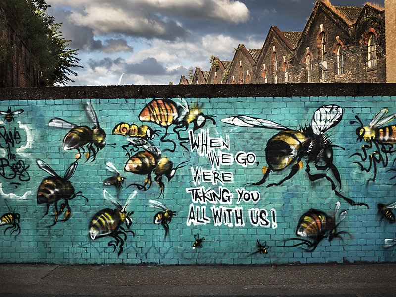 WHEN WE GO WERE TAKING YOU ALL WITH US