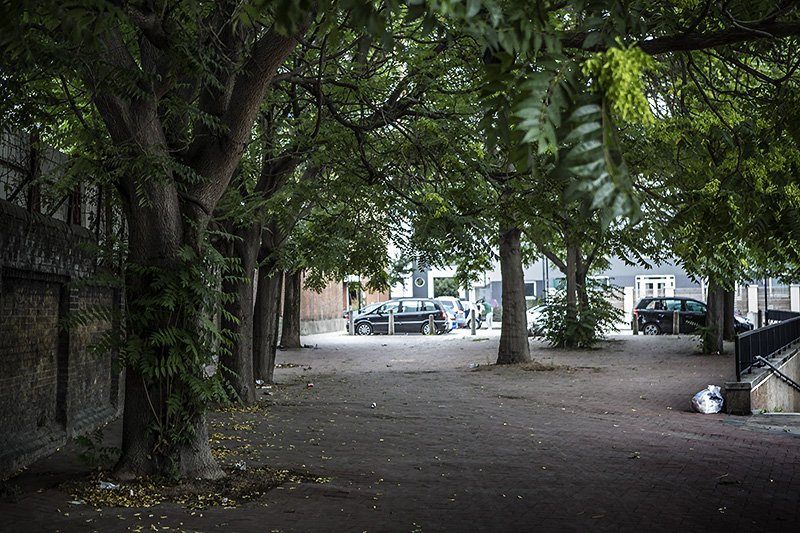 bromley-by-bow woods