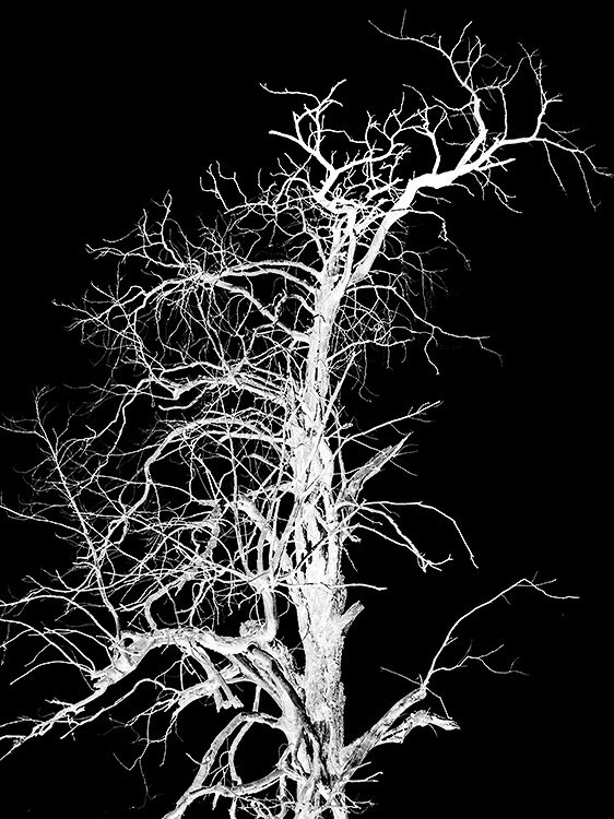 yeah baby, she has got it