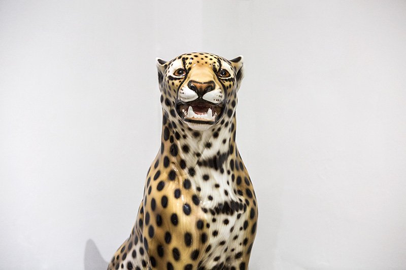 say hello to my leetle friend