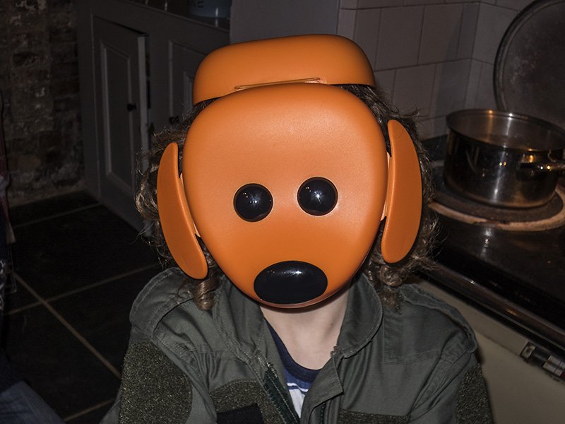 now i want to be your dog