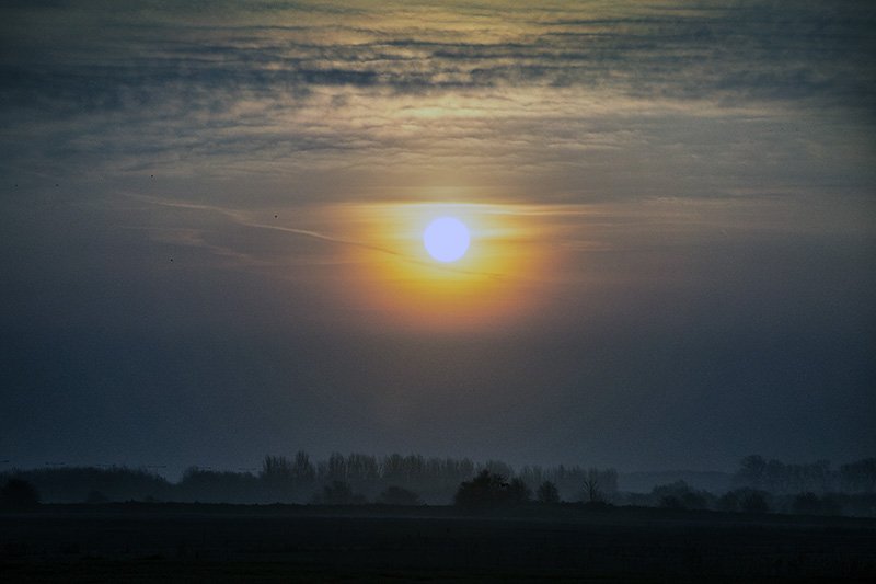 meanwhile back at perou farm