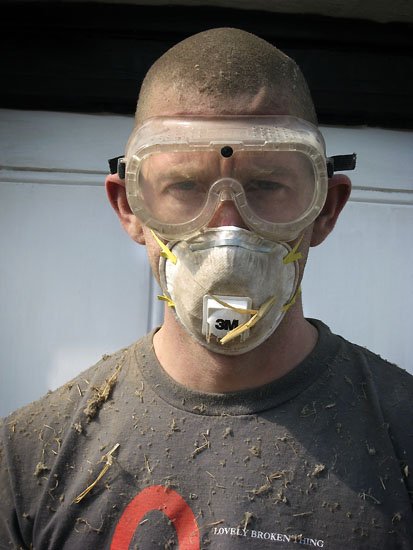 chicken shit, sawdust and dust dust