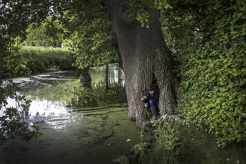 blots in translation