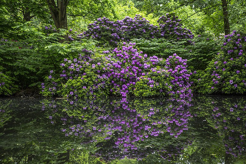 tiergarten. berlin