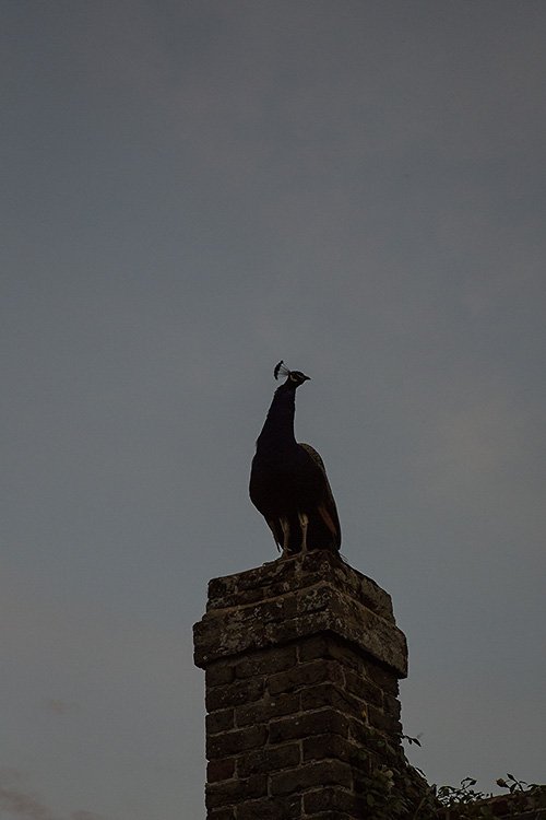 chimney ornament