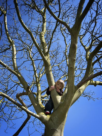 i smell like a bonfire...