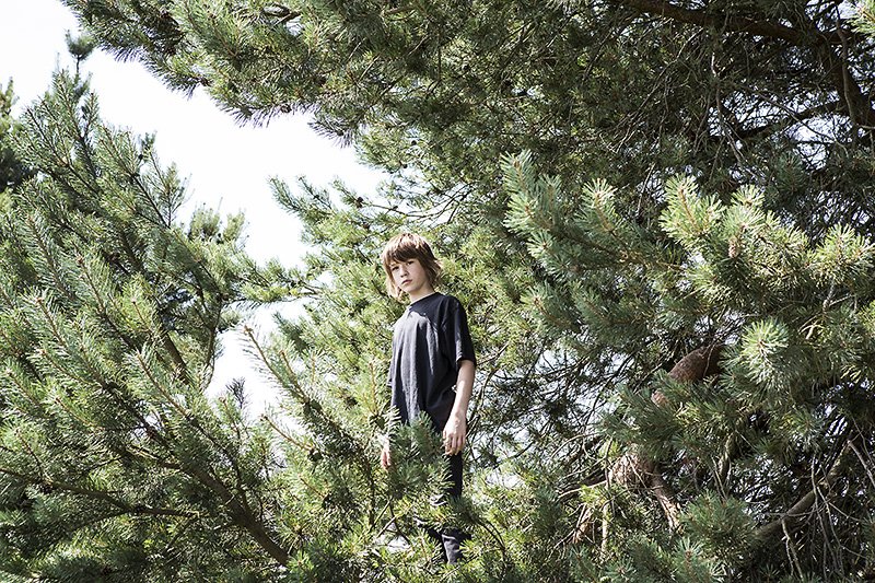 pine fresh maximum