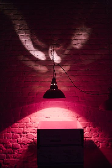 put on the red light