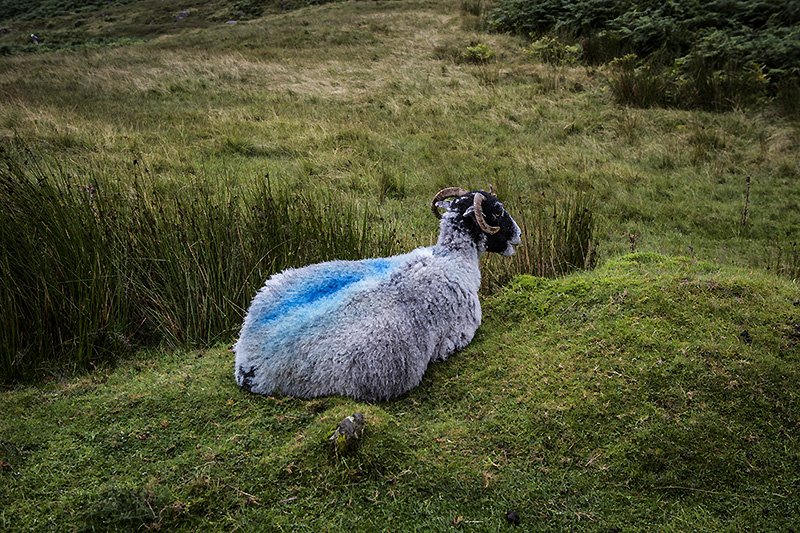 this seasons new range of woolen jumpers...