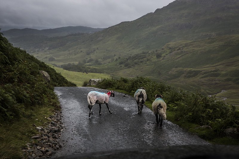 traffic jam on the hardknott pass