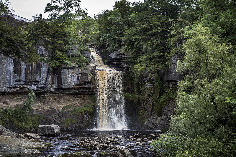 thornton force