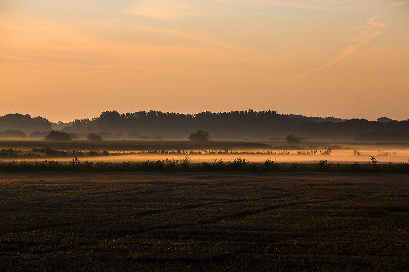 looking east this morning