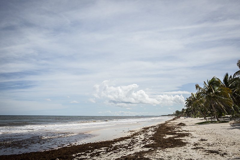 the horrible beach