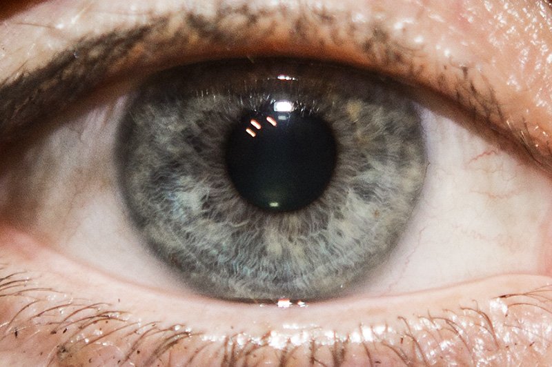 pyschotherapy field trip