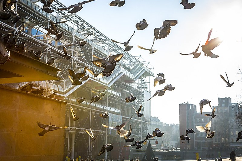 hard day at the paris office