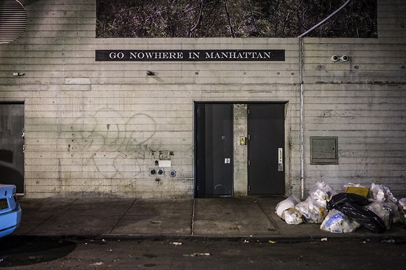 if you go down to the woods today...