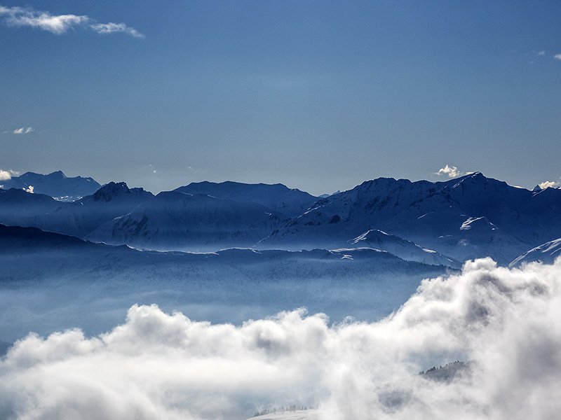 up above the trees and houses...
