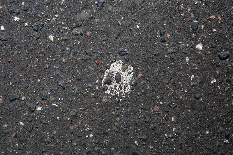 paint splat skull