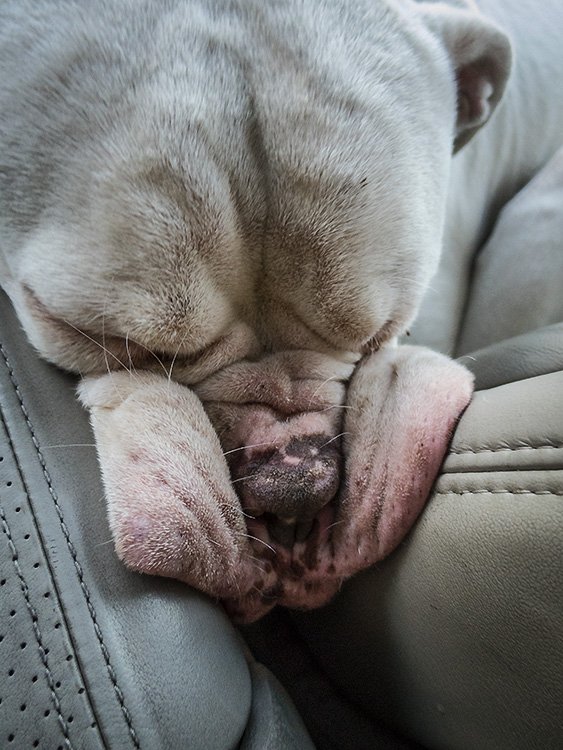 bus driver: open the doors!