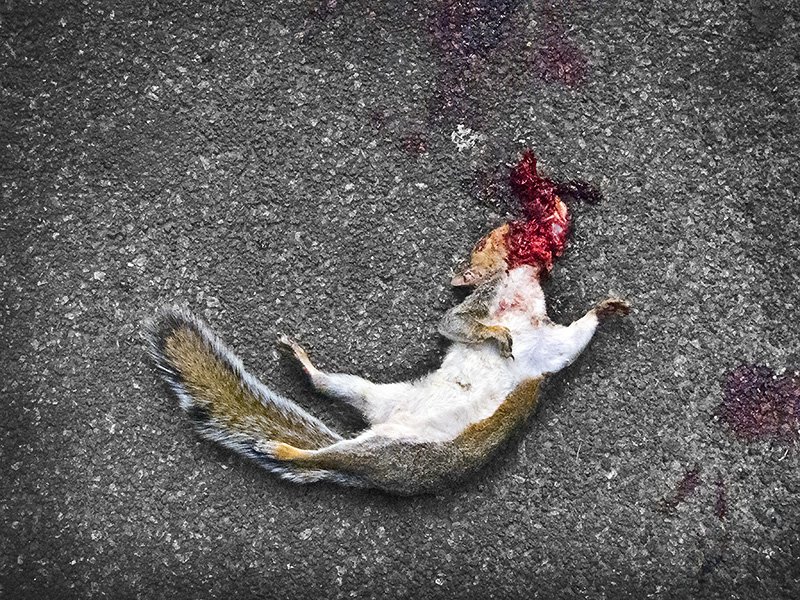 Ive got something to say...