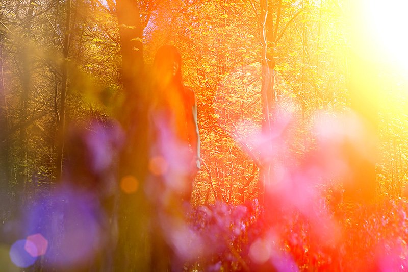 pyschadelic wood nymph