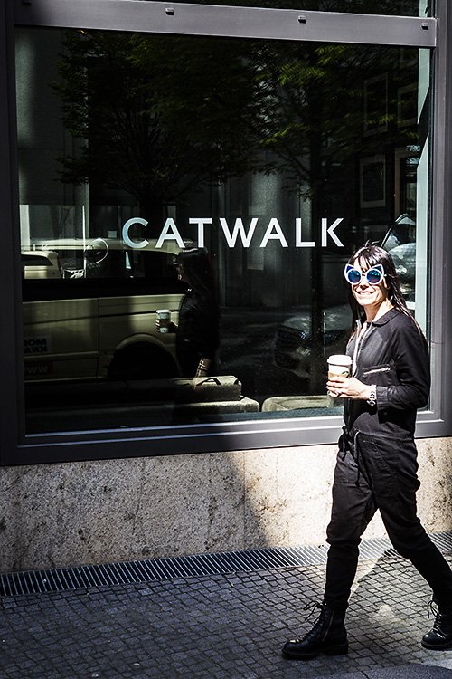 cat walking