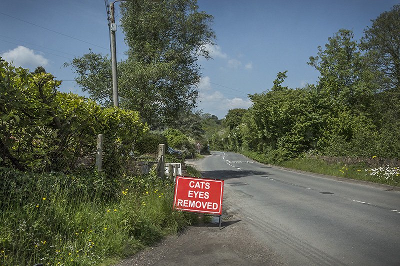 cat corporal punishment