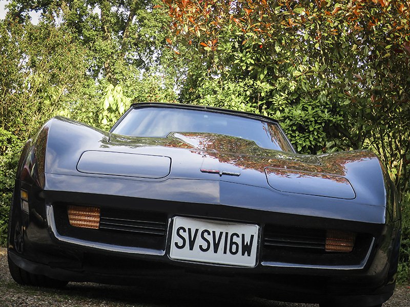 dads corvette by z perou