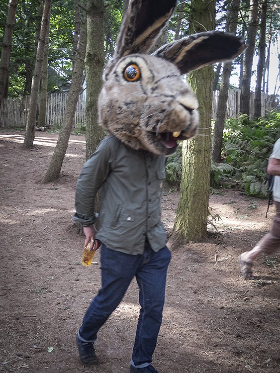 you are not hallucinating