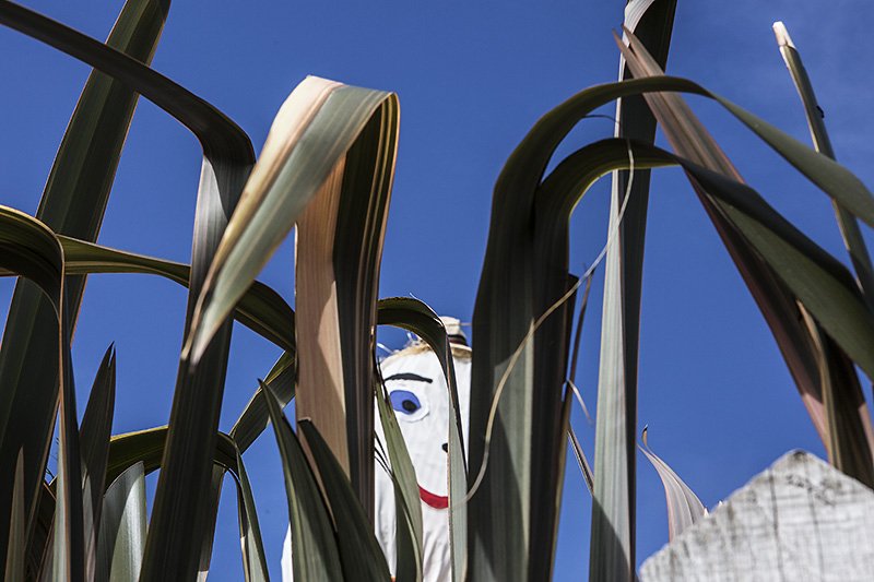 cornwall bumper pack day 1