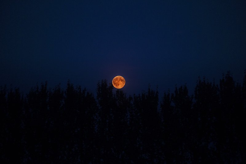 sturgeon moon
