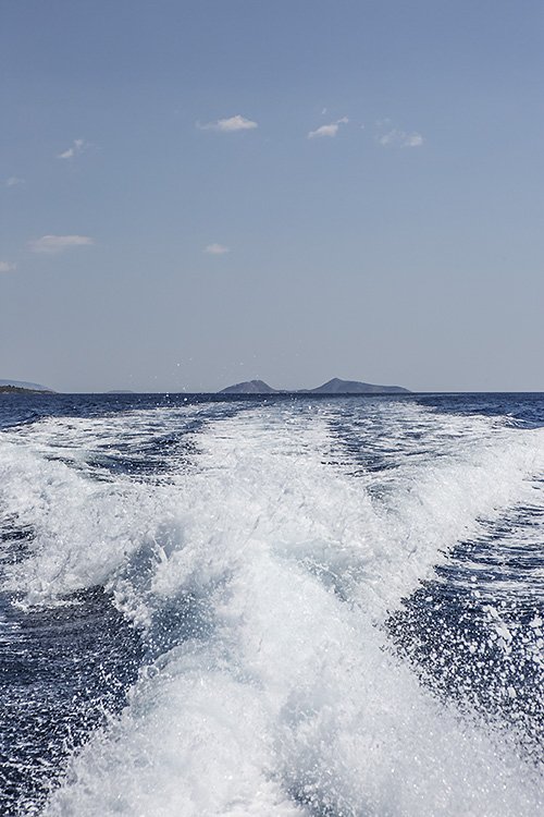 eat my dust you insensitive fuck