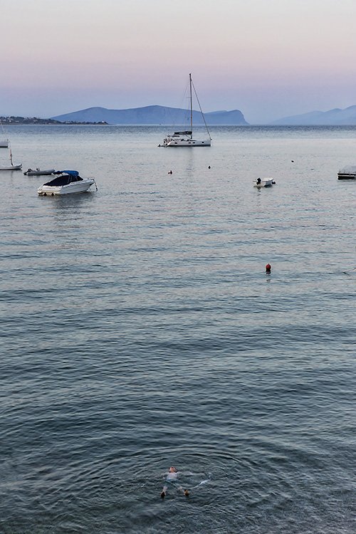 eat, swim, sleep, repeat