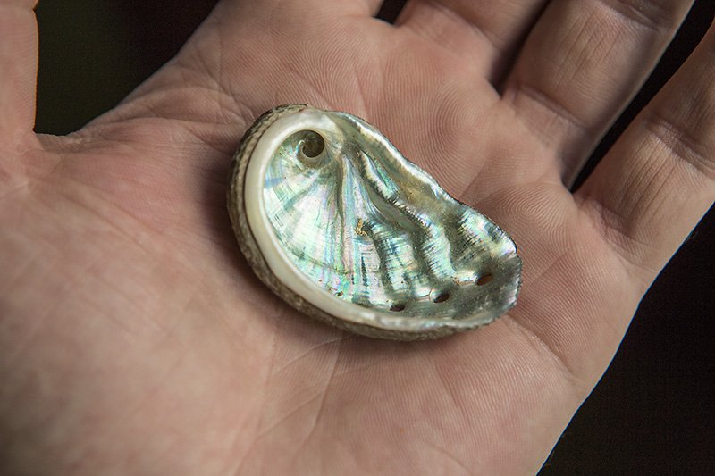 look at your pretty ear