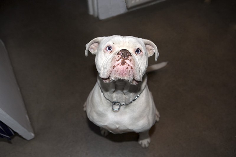 mr bunny at the bunker