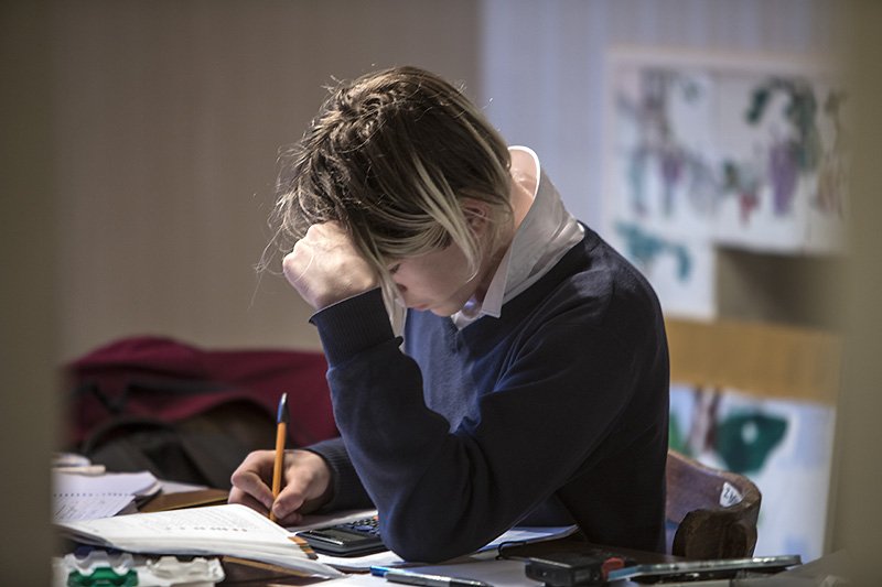homework