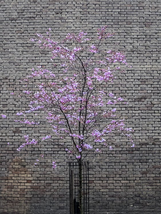 spring is sprung, official