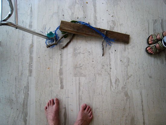 mouse trap by maximum