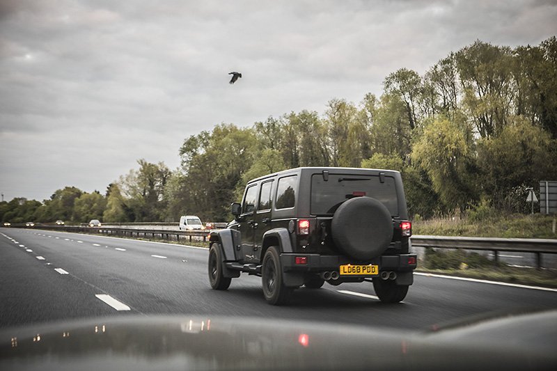 jeep jeep