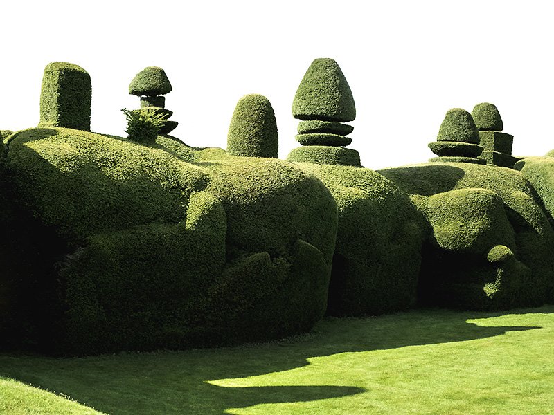 low maintenance garden