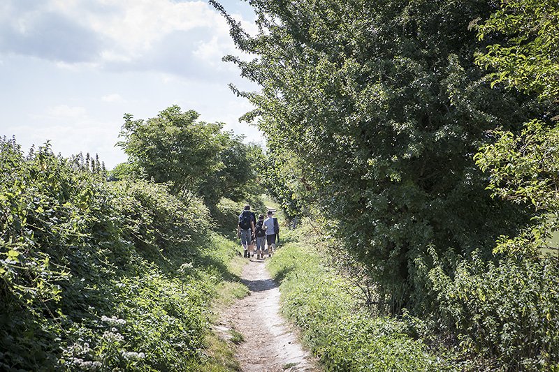 wolstenbury hill or bust