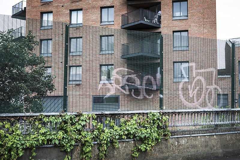 arse!